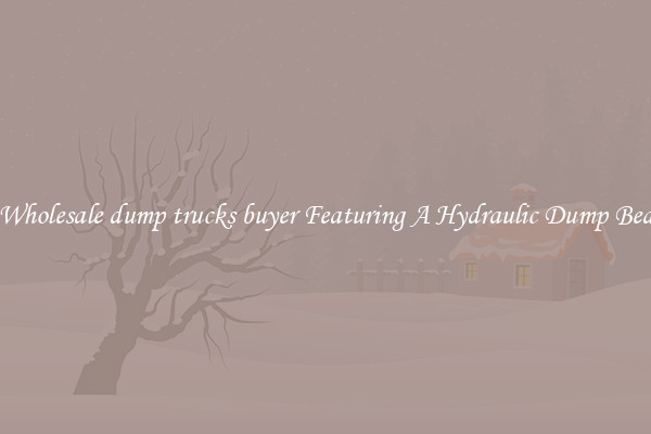 Wholesale dump trucks buyer Featuring A Hydraulic Dump Bed