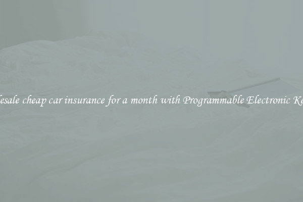 Wholesale cheap car insurance for a month with Programmable Electronic Keypad 