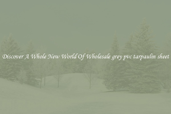 Discover A Whole New World Of Wholesale grey pvc tarpaulin sheet