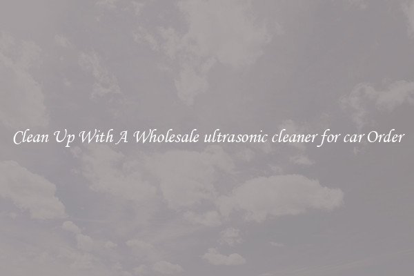 Clean Up With A Wholesale ultrasonic cleaner for car Order