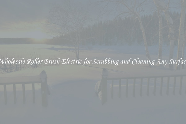 Wholesale Roller Brush Electric for Scrubbing and Cleaning Any Surface