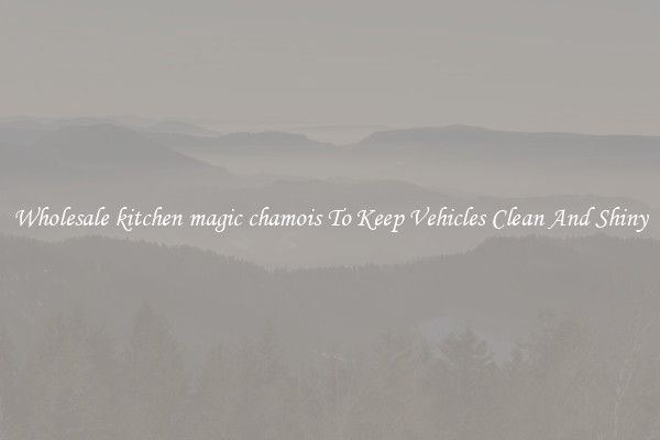 Wholesale kitchen magic chamois To Keep Vehicles Clean And Shiny