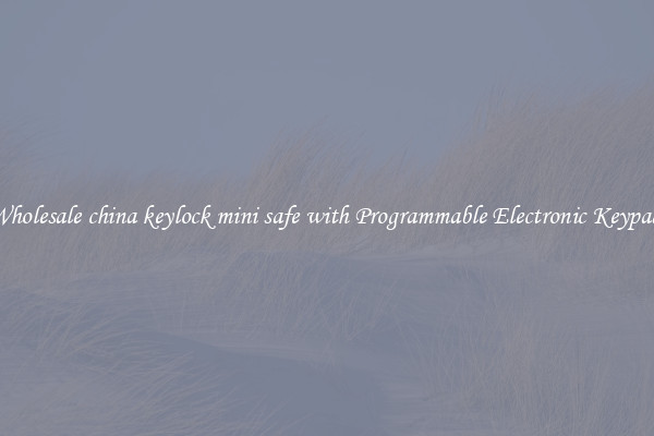 Wholesale china keylock mini safe with Programmable Electronic Keypad 