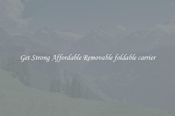 Get Strong Affordable Removable foldable carrier