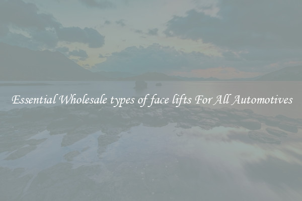 Essential Wholesale types of face lifts For All Automotives