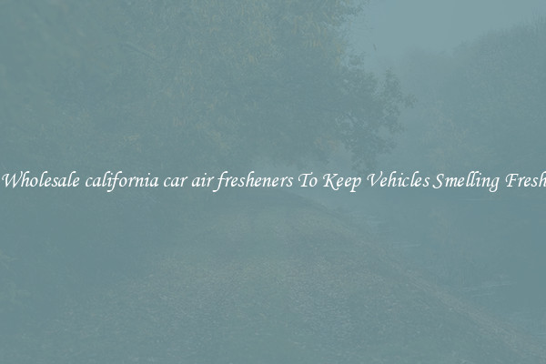 Wholesale california car air fresheners To Keep Vehicles Smelling Fresh