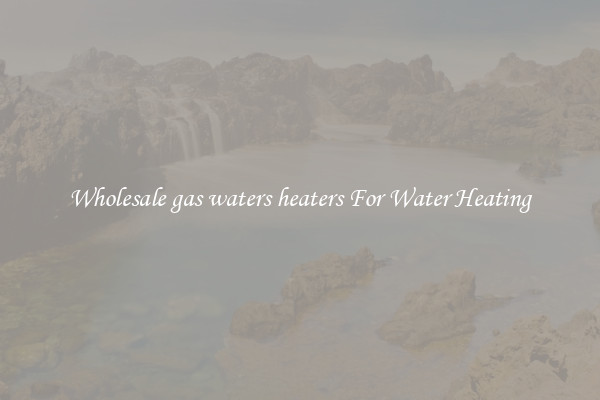 Wholesale gas waters heaters For Water Heating