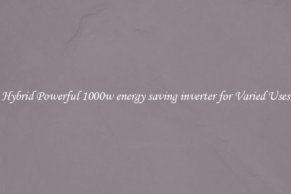 Hybrid Powerful 1000w energy saving inverter for Varied Uses