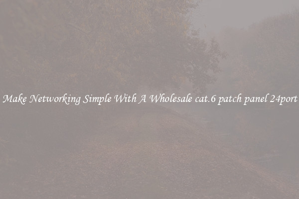 Make Networking Simple With A Wholesale cat.6 patch panel 24port