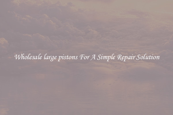 Wholesale large pistons For A Simple Repair Solution