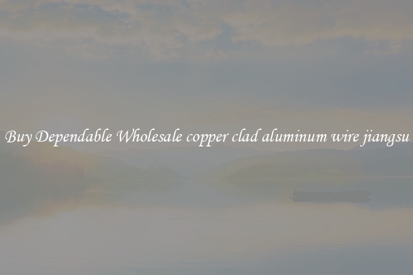 Buy Dependable Wholesale copper clad aluminum wire jiangsu