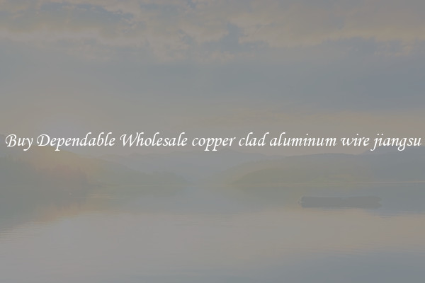 Buy Dependable Wholesale copper clad aluminum wire jiangsu