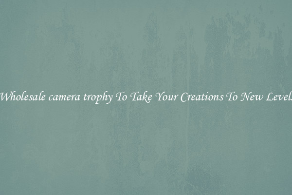 Wholesale camera trophy To Take Your Creations To New Levels
