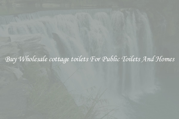 Buy Wholesale cottage toilets For Public Toilets And Homes