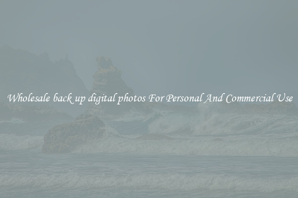 Wholesale back up digital photos For Personal And Commercial Use