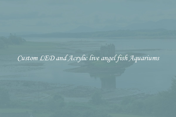 Custom LED and Acrylic live angel fish Aquariums