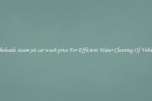 Wholesale steam jet car wash price For Efficient Water Cleaning Of Vehicles