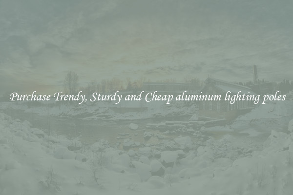 Purchase Trendy, Sturdy and Cheap aluminum lighting poles