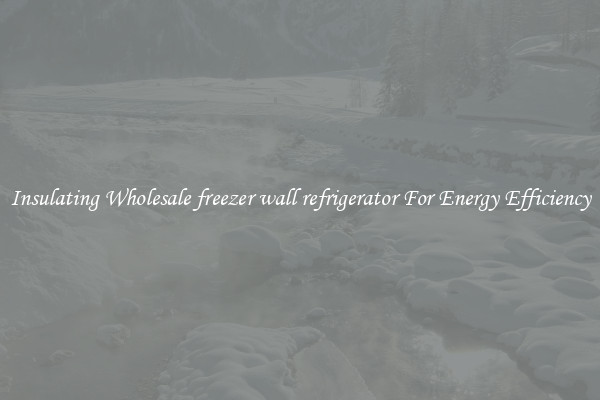 Insulating Wholesale freezer wall refrigerator For Energy Efficiency