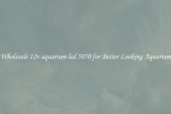 Wholesale 12v aquarium led 5050 for Better Looking Aquarium