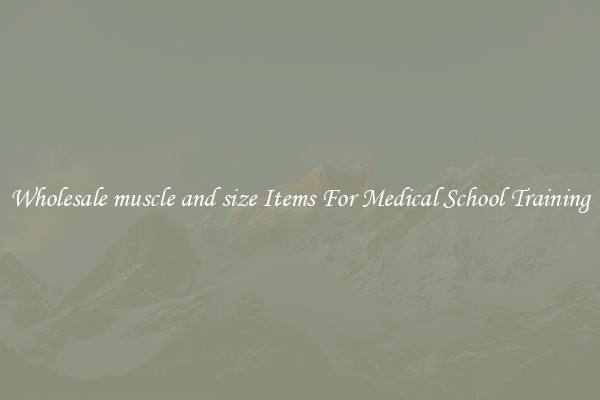 Wholesale muscle and size Items For Medical School Training