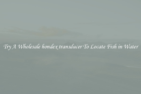 Try A Wholesale hondex transducer To Locate Fish in Water