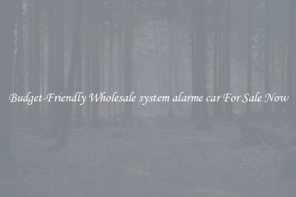 Budget-Friendly Wholesale system alarme car For Sale Now